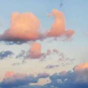 ヒメ日記 2025/01/16 17:26 投稿 さら 和歌山ちゃんこ