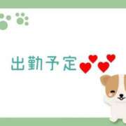 ヒメ日記 2025/01/19 23:00 投稿 さら 和歌山ちゃんこ