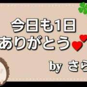 ヒメ日記 2025/01/30 01:49 投稿 さら 和歌山ちゃんこ