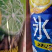 ヒメ日記 2025/02/18 16:52 投稿 さら 和歌山ちゃんこ