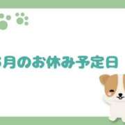 ヒメ日記 2025/02/27 23:32 投稿 さら 和歌山ちゃんこ