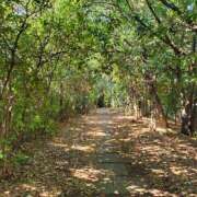 ヒメ日記 2025/03/10 16:30 投稿 さら 和歌山ちゃんこ