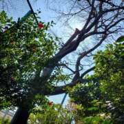 ヒメ日記 2025/03/10 23:02 投稿 さら 和歌山ちゃんこ