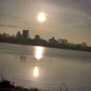 ヒメ日記 2025/03/12 09:01 投稿 さら 和歌山ちゃんこ