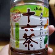 ヒメ日記 2025/03/20 15:36 投稿 さら 和歌山ちゃんこ