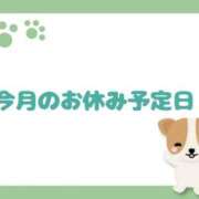 ヒメ日記 2025/04/01 00:01 投稿 さら 和歌山ちゃんこ