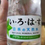 ヒメ日記 2025/04/08 00:43 投稿 さら 和歌山ちゃんこ