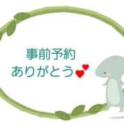 ヒメ日記 2025/04/12 00:09 投稿 さら 和歌山ちゃんこ