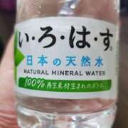 ヒメ日記 2025/04/19 15:01 投稿 さら 和歌山ちゃんこ