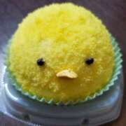 ヒメ日記 2025/04/19 21:30 投稿 さら 和歌山ちゃんこ