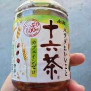 ヒメ日記 2025/04/26 14:06 投稿 さら 和歌山ちゃんこ