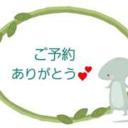 ヒメ日記 2025/05/12 14:31 投稿 さら 和歌山ちゃんこ