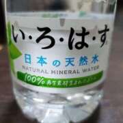 ヒメ日記 2025/07/13 14:35 投稿 さら 和歌山ちゃんこ