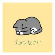 ヒメ日記 2025/07/20 11:53 投稿 さら 和歌山ちゃんこ