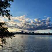 ヒメ日記 2025/08/19 19:01 投稿 さら 和歌山ちゃんこ