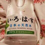 ヒメ日記 2025/08/23 00:53 投稿 さら 和歌山ちゃんこ