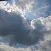 ヒメ日記 2025/08/29 12:19 投稿 さら 和歌山ちゃんこ