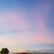 ヒメ日記 2025/08/31 11:01 投稿 さら 和歌山ちゃんこ