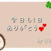 ヒメ日記 2025/09/20 03:00 投稿 さら 和歌山ちゃんこ