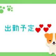 ヒメ日記 2025/10/27 18:02 投稿 さら 和歌山ちゃんこ