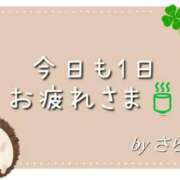 ヒメ日記 2025/11/02 03:00 投稿 さら 和歌山ちゃんこ