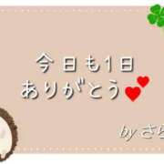 ヒメ日記 2025/11/07 01:00 投稿 さら 和歌山ちゃんこ