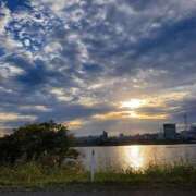 ヒメ日記 2025/11/12 16:00 投稿 さら 和歌山ちゃんこ