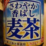 ヒメ日記 2025/11/14 16:07 投稿 さら 和歌山ちゃんこ