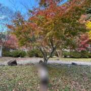 ヒメ日記 2025/11/25 17:22 投稿 さら 和歌山ちゃんこ