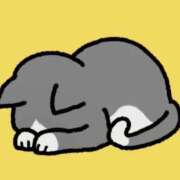 ヒメ日記 2025/11/28 14:30 投稿 さら 和歌山ちゃんこ