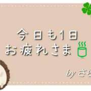 ヒメ日記 2025/12/23 01:00 投稿 さら 和歌山ちゃんこ