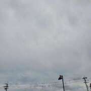 ヒメ日記 2025/12/24 10:50 投稿 さら 和歌山ちゃんこ