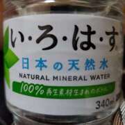 ヒメ日記 2025/12/31 15:31 投稿 さら 和歌山ちゃんこ