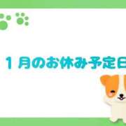 ヒメ日記 2025/12/31 21:17 投稿 さら 和歌山ちゃんこ