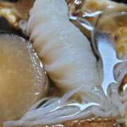 ヒメ日記 2026/01/15 23:46 投稿 さら 和歌山ちゃんこ