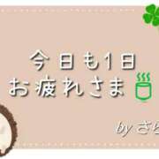 ヒメ日記 2026/02/12 01:00 投稿 さら 和歌山ちゃんこ