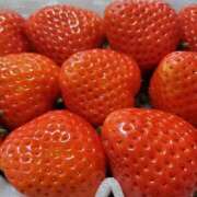 ヒメ日記 2026/03/12 16:06 投稿 さら 和歌山ちゃんこ