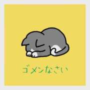 ヒメ日記 2026/03/13 09:01 投稿 さら 和歌山ちゃんこ