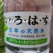 ヒメ日記 2026/03/31 17:03 投稿 さら 和歌山ちゃんこ