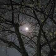 ヒメ日記 2026/04/03 21:03 投稿 さら 和歌山ちゃんこ