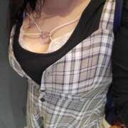 ヒメ日記 2026/04/13 00:52 投稿 さら 和歌山ちゃんこ