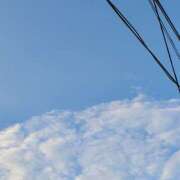 さら おはようございます☀︎ 和歌山ちゃんこ