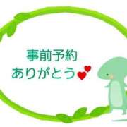 ヒメ日記 2026/04/22 11:01 投稿 さら 和歌山ちゃんこ