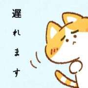 ヒメ日記 2026/05/30 17:48 投稿 さら 和歌山ちゃんこ