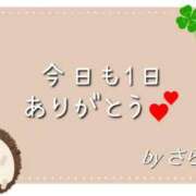ヒメ日記 2026/08/30 03:00 投稿 さら 和歌山ちゃんこ