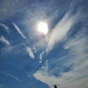 ヒメ日記 2026/09/26 13:11 投稿 さら 和歌山ちゃんこ