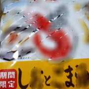 ヒメ日記 2026/10/07 16:21 投稿 さら 和歌山ちゃんこ