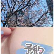 ヒメ日記 2025/03/21 14:08 投稿 たえこ 熟女デリヘル秘宝館Z