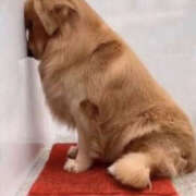 ヒメ日記 2025/05/28 15:00 投稿 たえこ 熟女デリヘル秘宝館Z