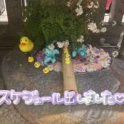 ヒメ日記 2025/06/01 15:00 投稿 たえこ 熟女デリヘル秘宝館Z